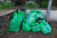 Clonakilty-Tidy-Towns-Committee-and-West-Cork-Development-Partnership_Co.-Cork_05.04.23-5